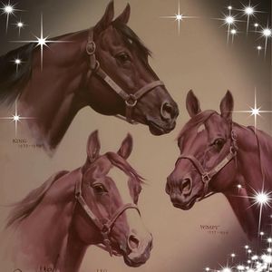 Meet your Posher, Angie